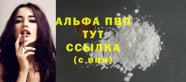 дурь Грязовец