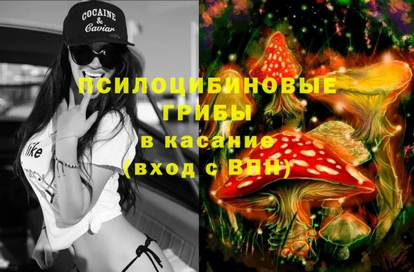 гашик Семёнов