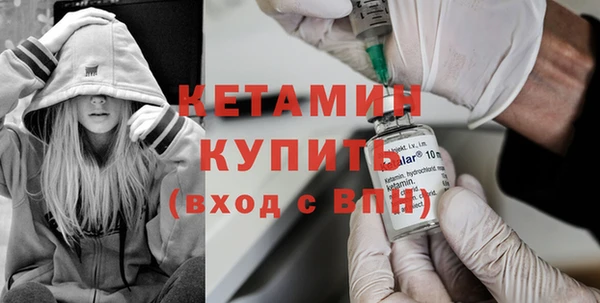 шишки Саяногорск