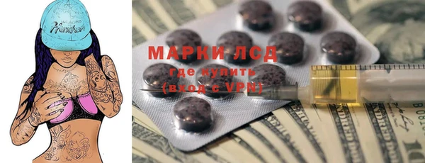шишки Саяногорск