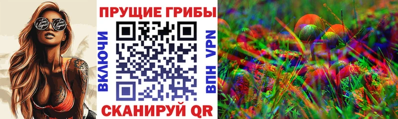 купить наркоту  гидра как войти  Галлюциногенные грибы Cubensis  Инта 